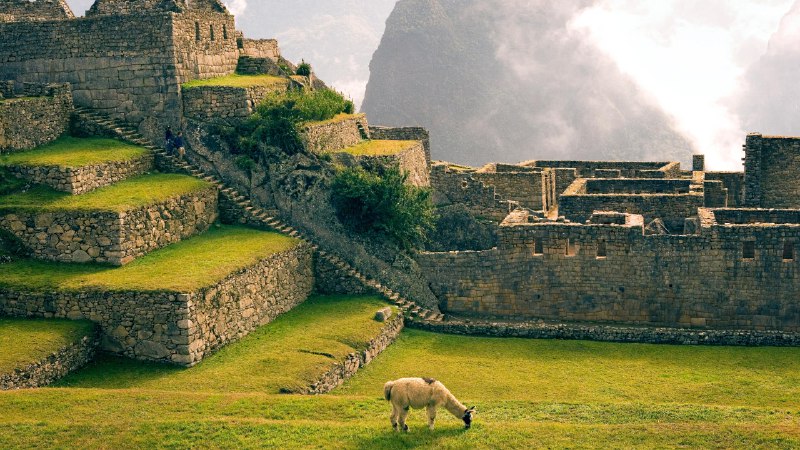 🔒 Windows LockScreen Images📸 #1: A beach in beast mode📷 © RooM the Agency / Alamy Stock Photo📸 #2: Paddling pristine seas📷 © Matteo Colombo / Digital Vision / Getty Images          📸 #3: Stairway to heaven?📷 © Tuul & Bruno Morandi / Digital Vision / Getty Images📸 #4: Llama in a lofty locale📷 © Laurie Chamberlain / Corbis Documentary / Getty Images🌍 Region: CA (en-US)#WindowsLockScreen #LockScreen #Wallpaper #Microsoft #Photography🔒 Windows LockScreen Images📸 #1: A beach in beast mode📷 © RooM the Agency / Alamy Stock Photo📸 #2: Paddling pristine seas📷 © Matteo Colombo / Digital Vision / Getty Images          📸 #3: Stairway to heaven?📷 © Tuul & Bruno Morandi / Digital Vision / Getty Images📸 #4: Llama in a lofty locale📷 © Laurie Chamberlain / Corbis Documentary / Getty Images🌍 Region: CA (en-US)#WindowsLockScreen #LockScreen #Wallpaper #Microsoft #Photography